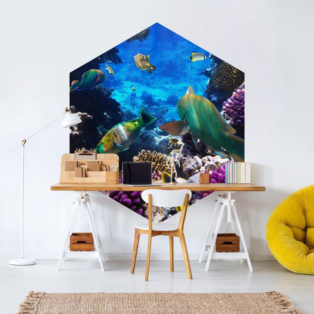 Wallpapers animals Underwater Dreams