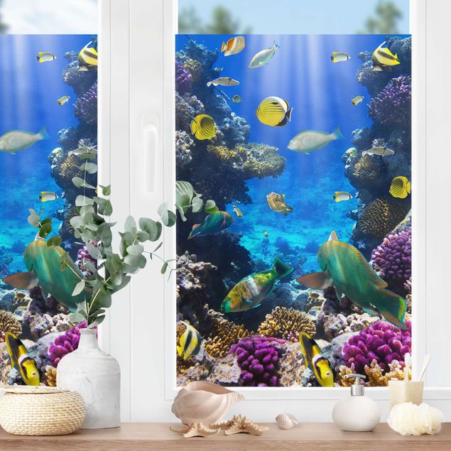Window stickers animals Underwater Dreams