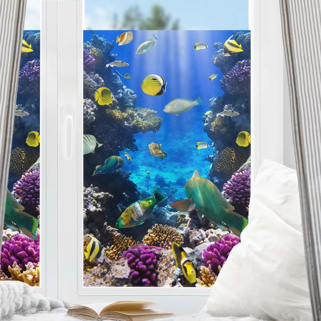 Film adhesive Underwater Dreams