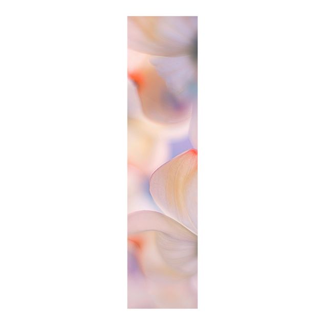 Sliding panel curtains flower Below Flowers
