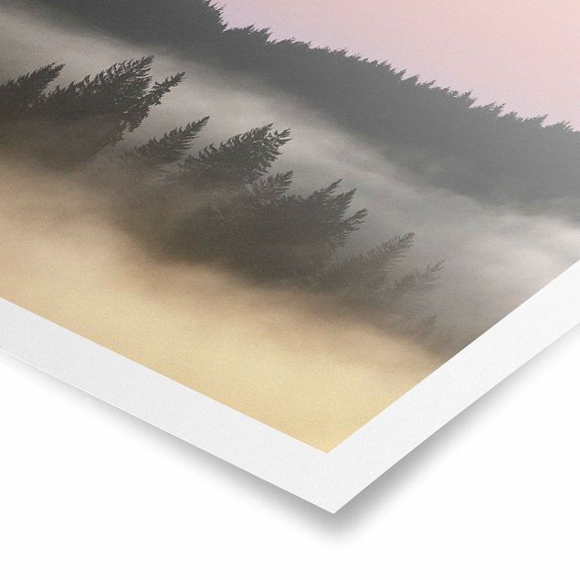 Posters landscape Dreamy Foggy Forest