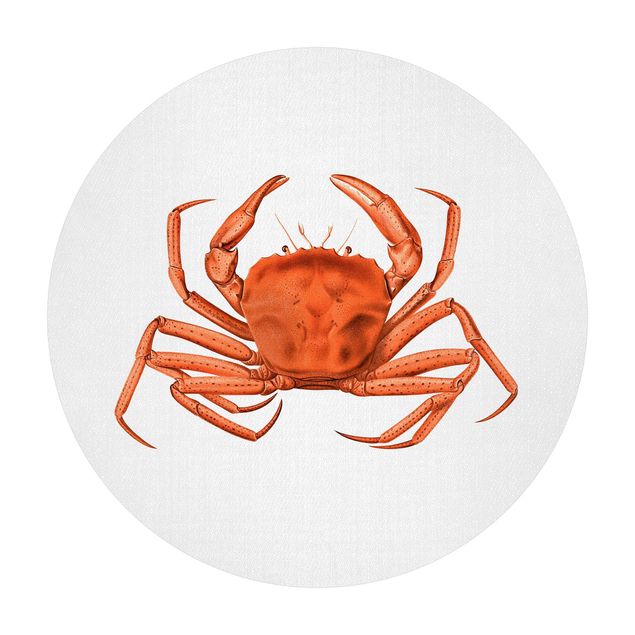 Gal Design art Vintage Illustration Red Crab