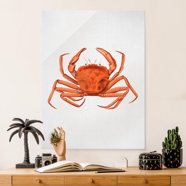 Prints fishes Vintage Illustration Red Crab