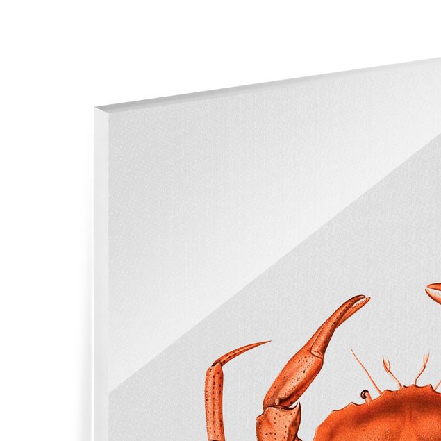 Glass prints pieces Vintage Illustration Red Crab
