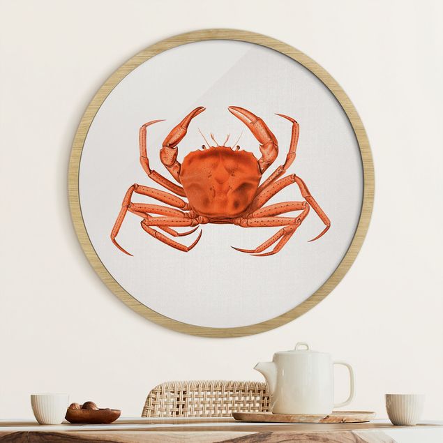 Framed beach pictures Vintage Illustration Red Crab