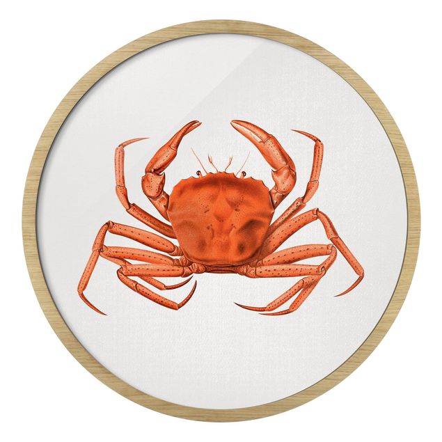 Beach prints Vintage Illustration Red Crab