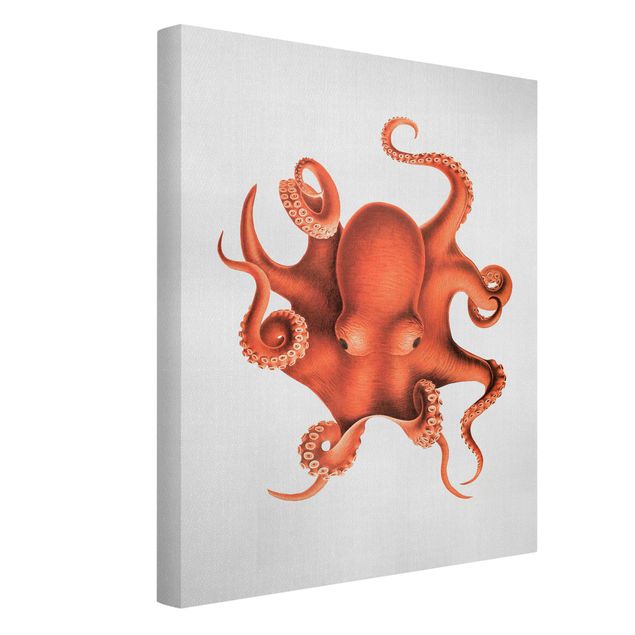 Beach prints Vintage Illustration Red Octopus