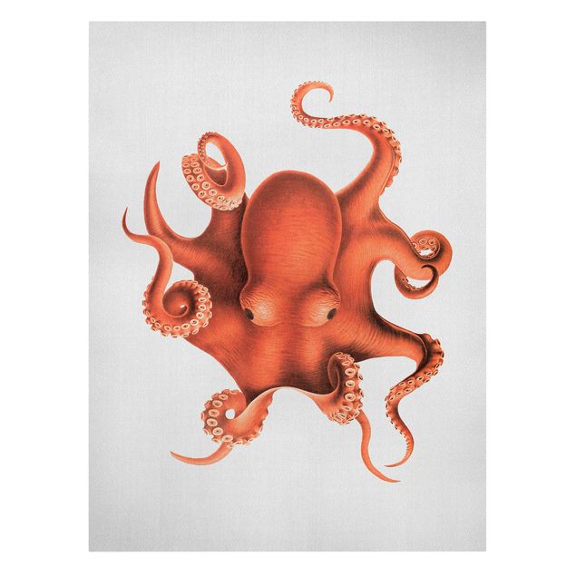 Sea prints Vintage Illustration Red Octopus