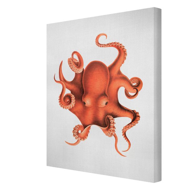 Vintage posters Vintage Illustration Red Octopus