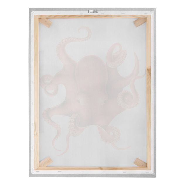 Prints animals Vintage Illustration Red Octopus