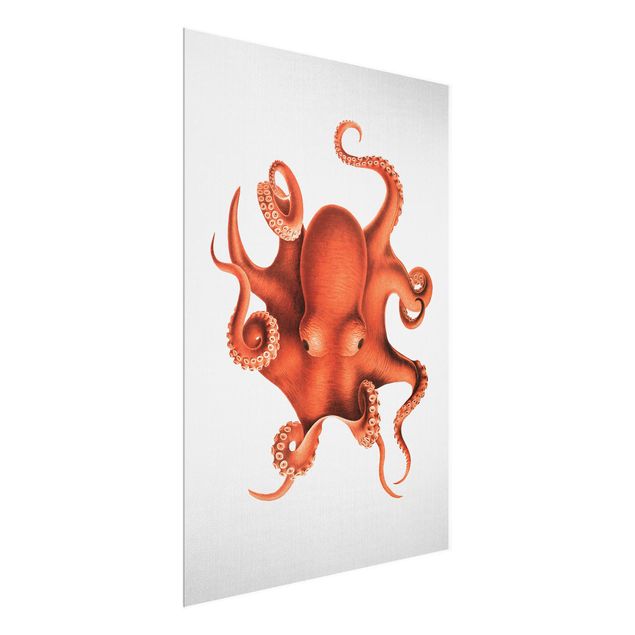 Sea prints Vintage Illustration Red Octopus