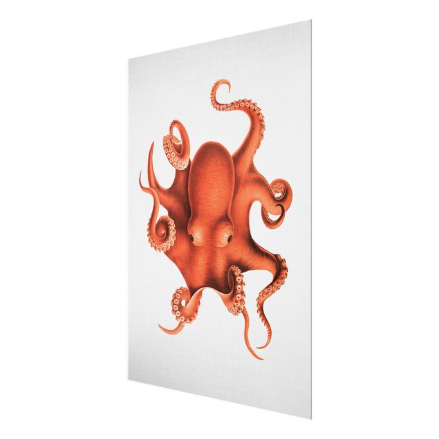 Glass prints beach Vintage Illustration Red Octopus