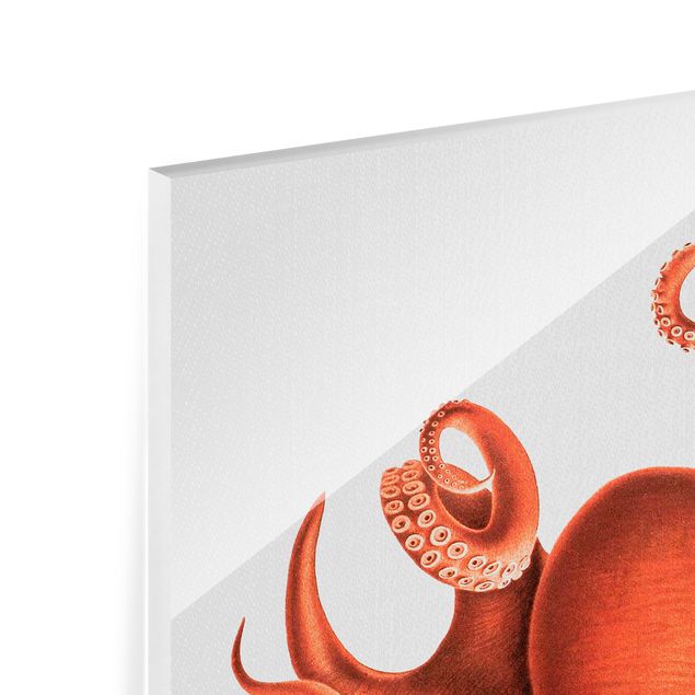 Glass prints pieces Vintage Illustration Red Octopus