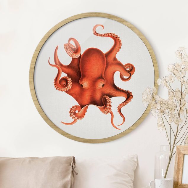 Framed beach pictures Vintage Illustration Red Octopus