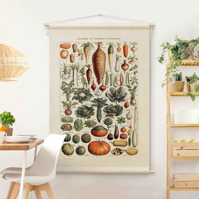 Kitchen Vintage Teaching Illustration Vegetables