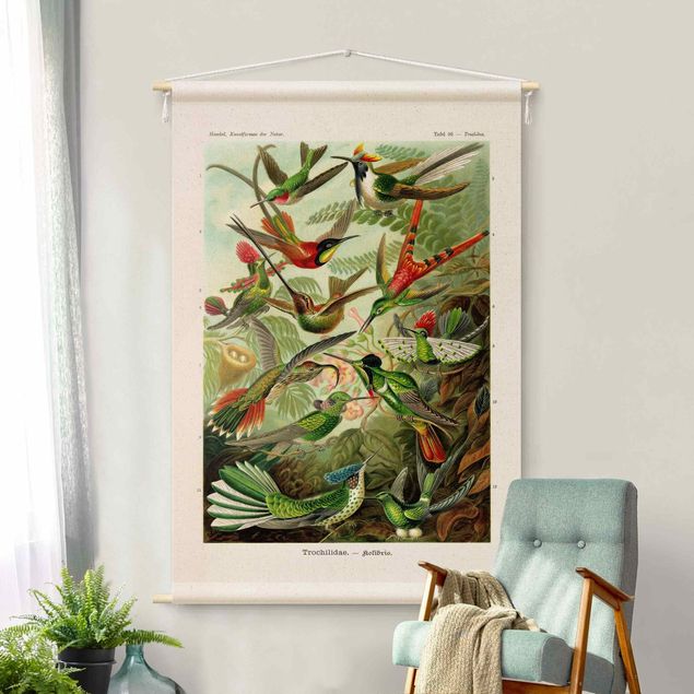 vintage tapestry wall hanging Vintage Teaching Illustration Hummingbirds