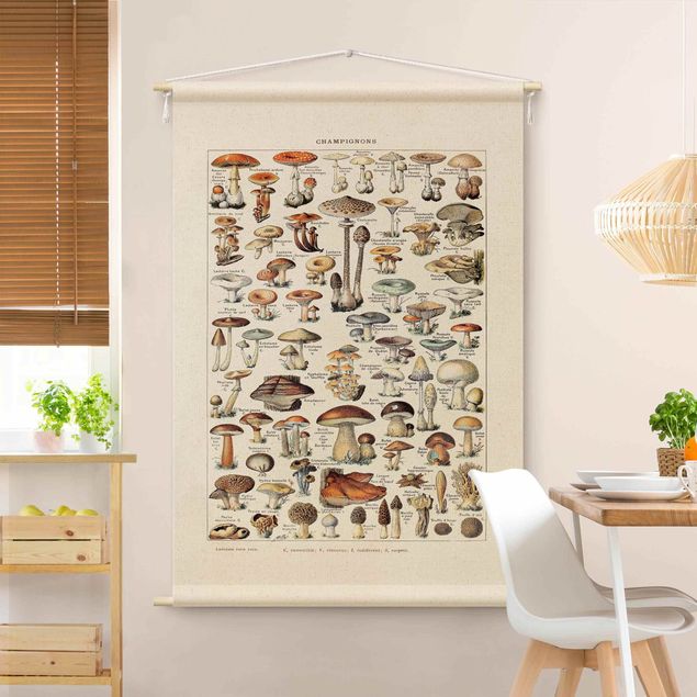 vintage tapestry Vintage Teaching Illustration Mushrooms