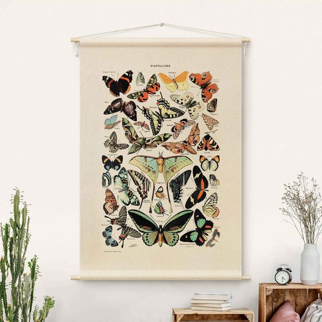 Kitchen Vintage Teaching Illustration Butterflies