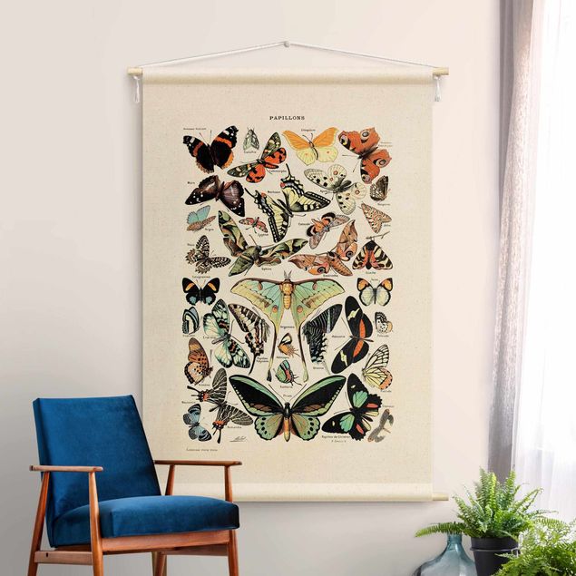 modern tapestry Vintage Teaching Illustration Butterflies
