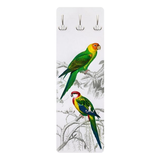 Green coat rack Vintage Wall Chart Two Parrots Green Red