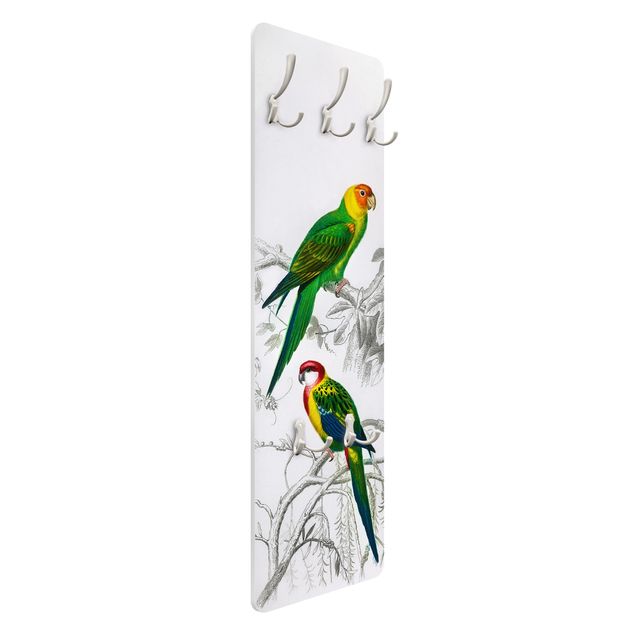 Wall mounted coat rack red Vintage Wall Chart Two Parrots Green Red