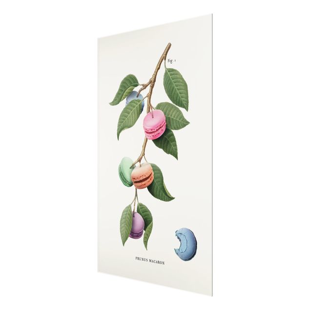 Prints Vintage Plant - Macaron