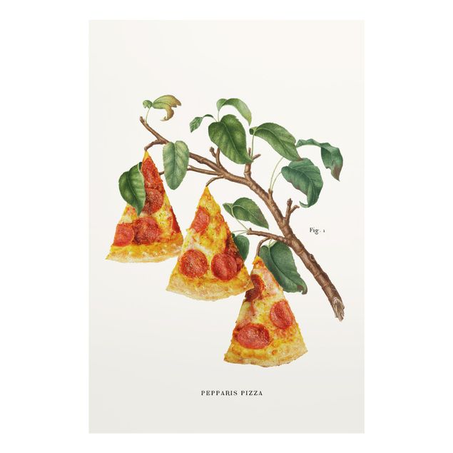 Jonas Loose Art Vintage Plant - Pizza