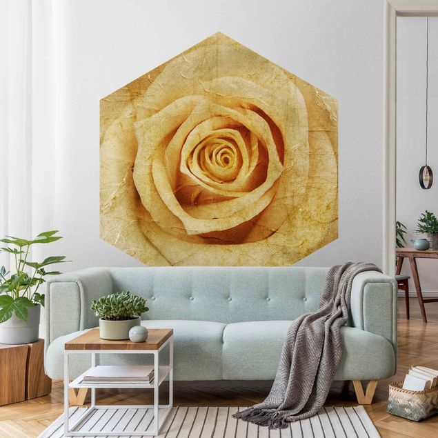 Wallpapers flower Vintage Rose