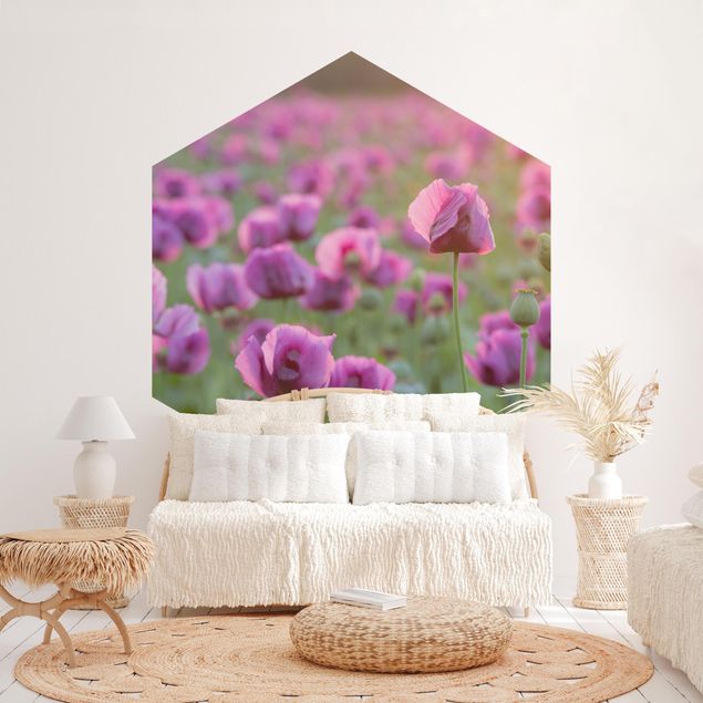 Floral wallpaper Purple Poppy Flower Meadow In Spring