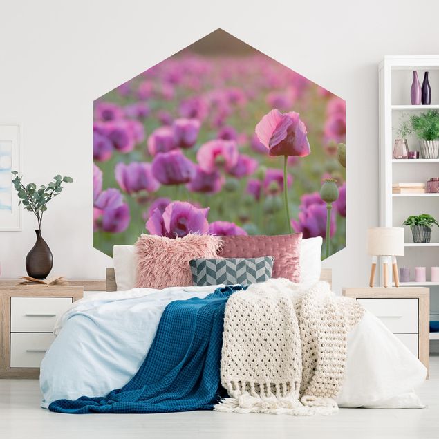 Contemporary wallpaper Purple Poppy Flower Meadow In Spring