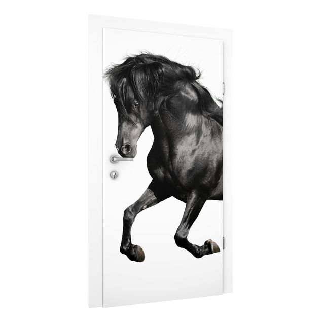 Pony wallpaper Arabian Stallion