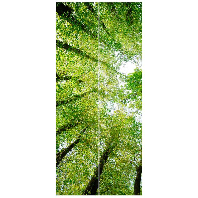 3d door wallpaper Trees Of Life