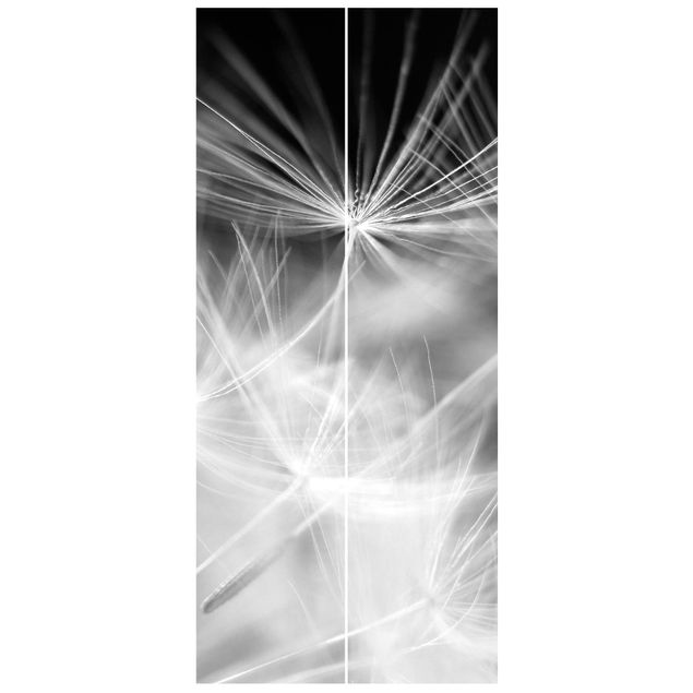 Black and white aesthetic wallpaper Moving Dandelions Close Up On Black Background