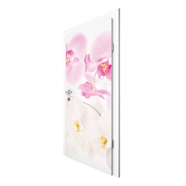 Door Wallpapers flower Delicate Orchids