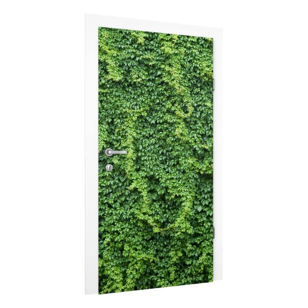 Door Wallpapers flower Ivy