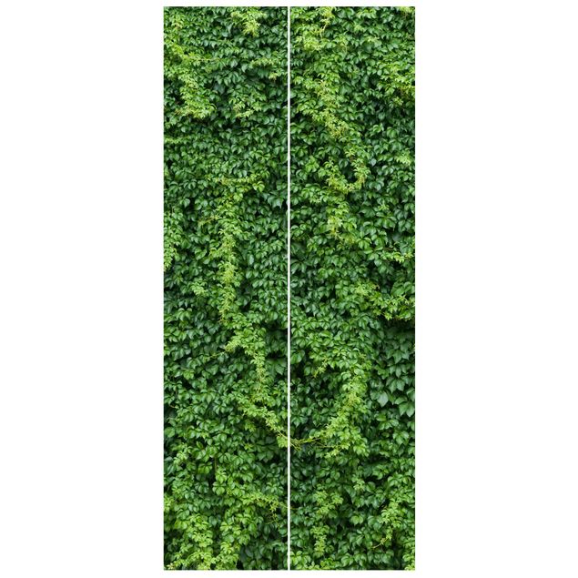 Modern wallpaper designs Ivy