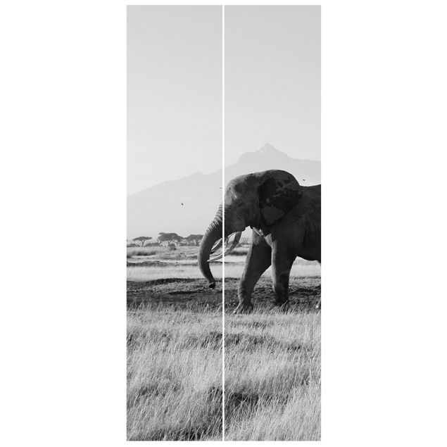 Wallpapers africa Elephants In Front Of The Kilimanjaro In Kenya II