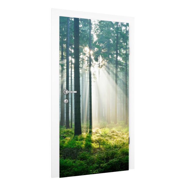 Door Wallpapers landscape Enlightened Forest