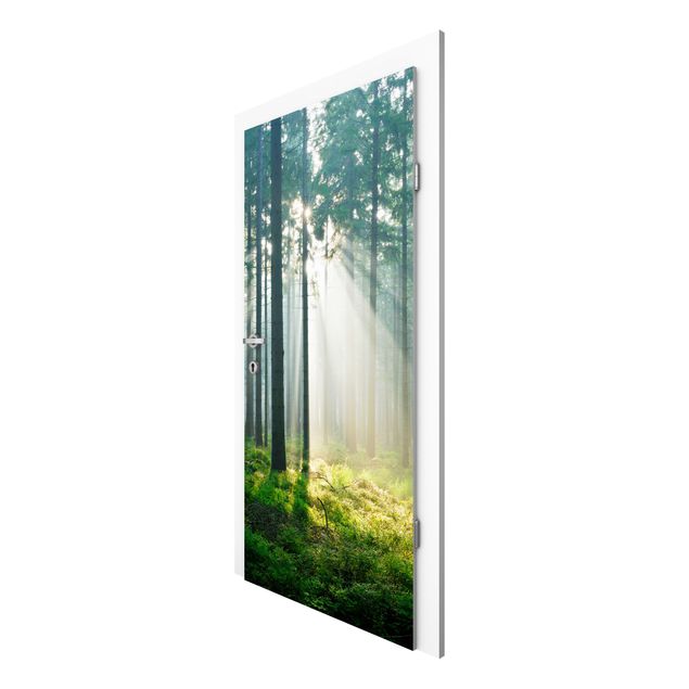 Door Wallpapers forest Enlightened Forest