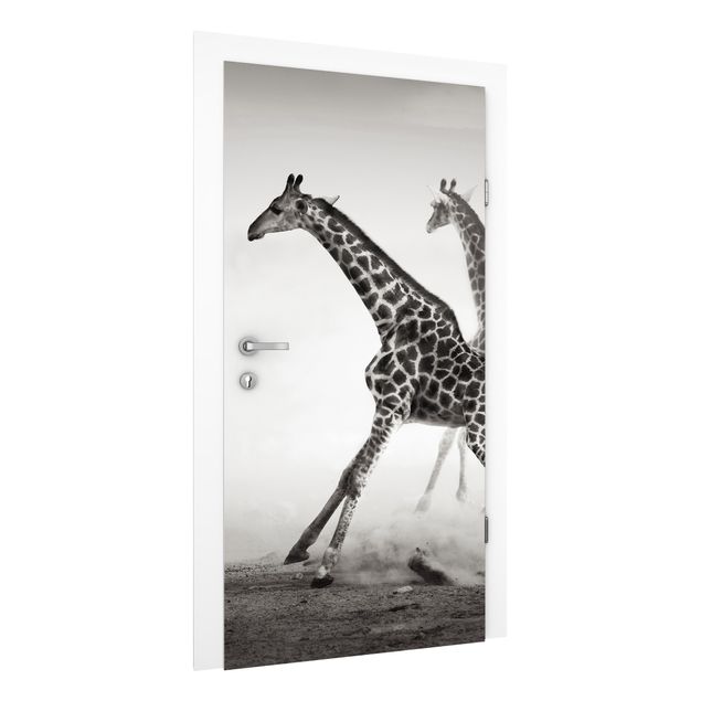 Wallpapers giraffe Giraffe Hunt