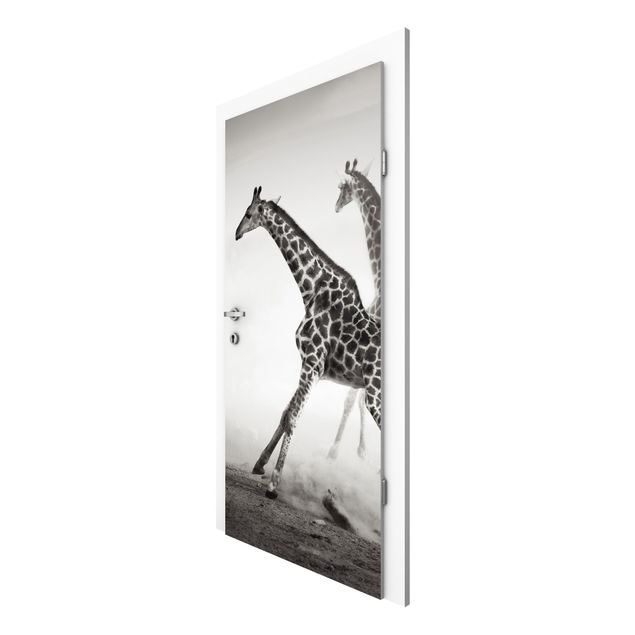 Wallpapers desert Giraffe Hunt