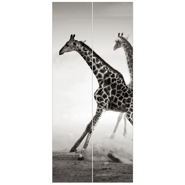 Door Wallpapers animals Giraffe Hunt