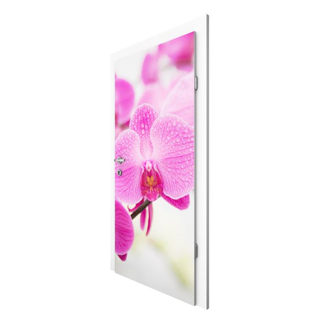 Door Wallpapers flower Close-Up Orchid