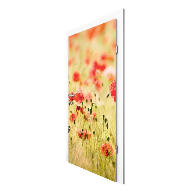 Door Wallpapers flower Summer Poppies