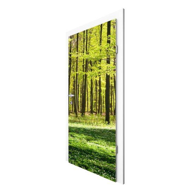 Door Wallpapers landscape Forest Meadow