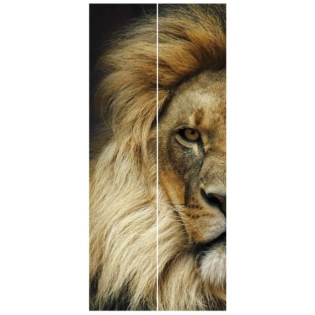 Wallpapers animals Wisdom Of Lion