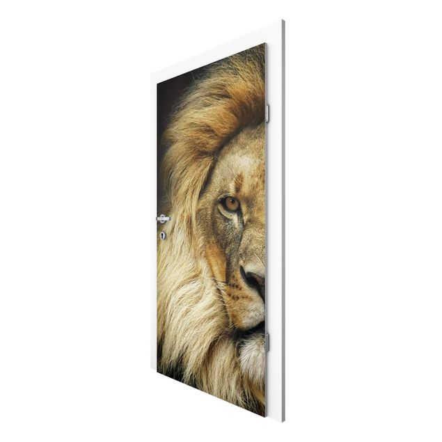 Door Wallpapers animals Wisdom Of Lion