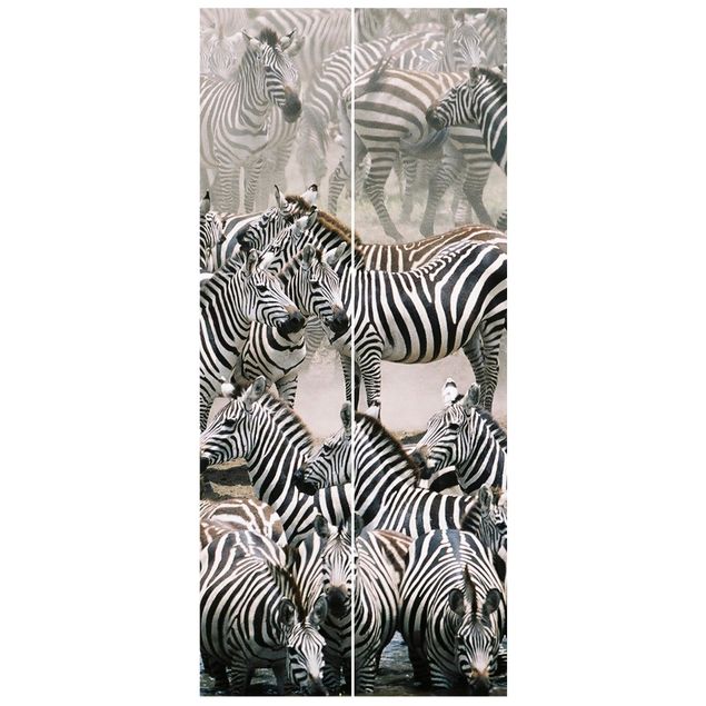 Black white wallpaper Zebra Herd