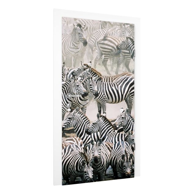 Wallpapers zebra Zebra Herd
