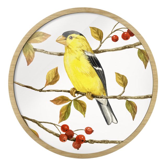 Yellow canvas wall art Birds And Berries - American Goldfinch